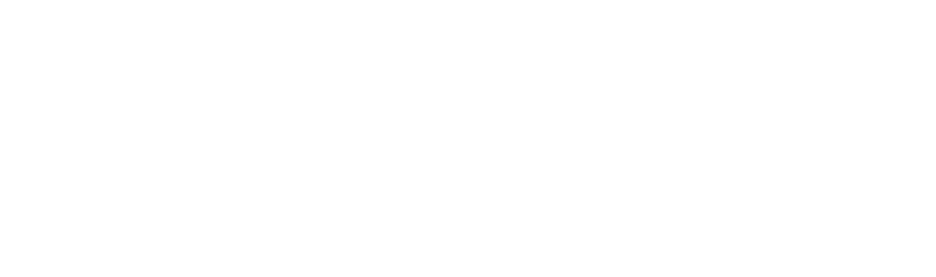 RAUMAUSSTATTUNG LASSE